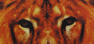 Прямая-трафаретная полноцветная печать.