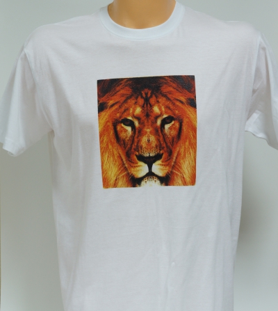 Прямая-трафаретная полноцветная печать.