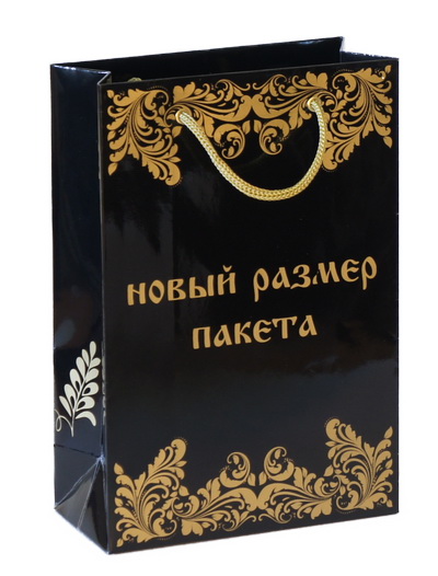 Бумажный пакет 15х22х7см.
