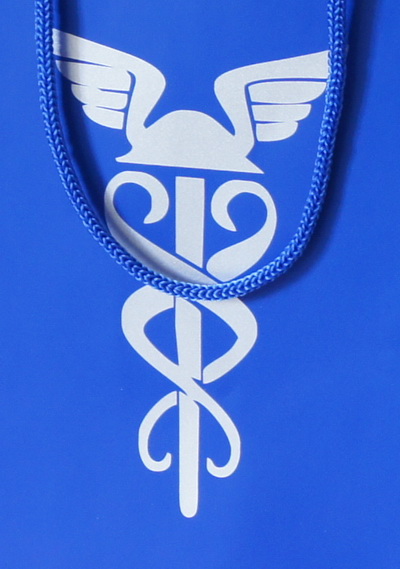 Бумажный пакет 21,5х31х8см.