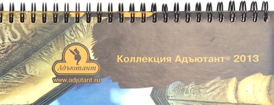 Планинг, 38х20 см. открытая пружина, полноцветная печать по кожзаму