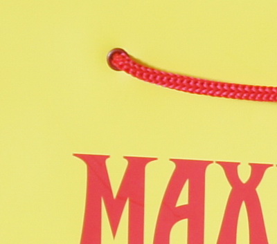 Бумажный пакет 21х26х8см.