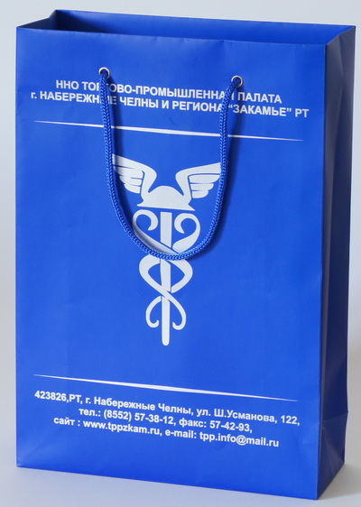 Бумажный пакет 21,5х31х8см.